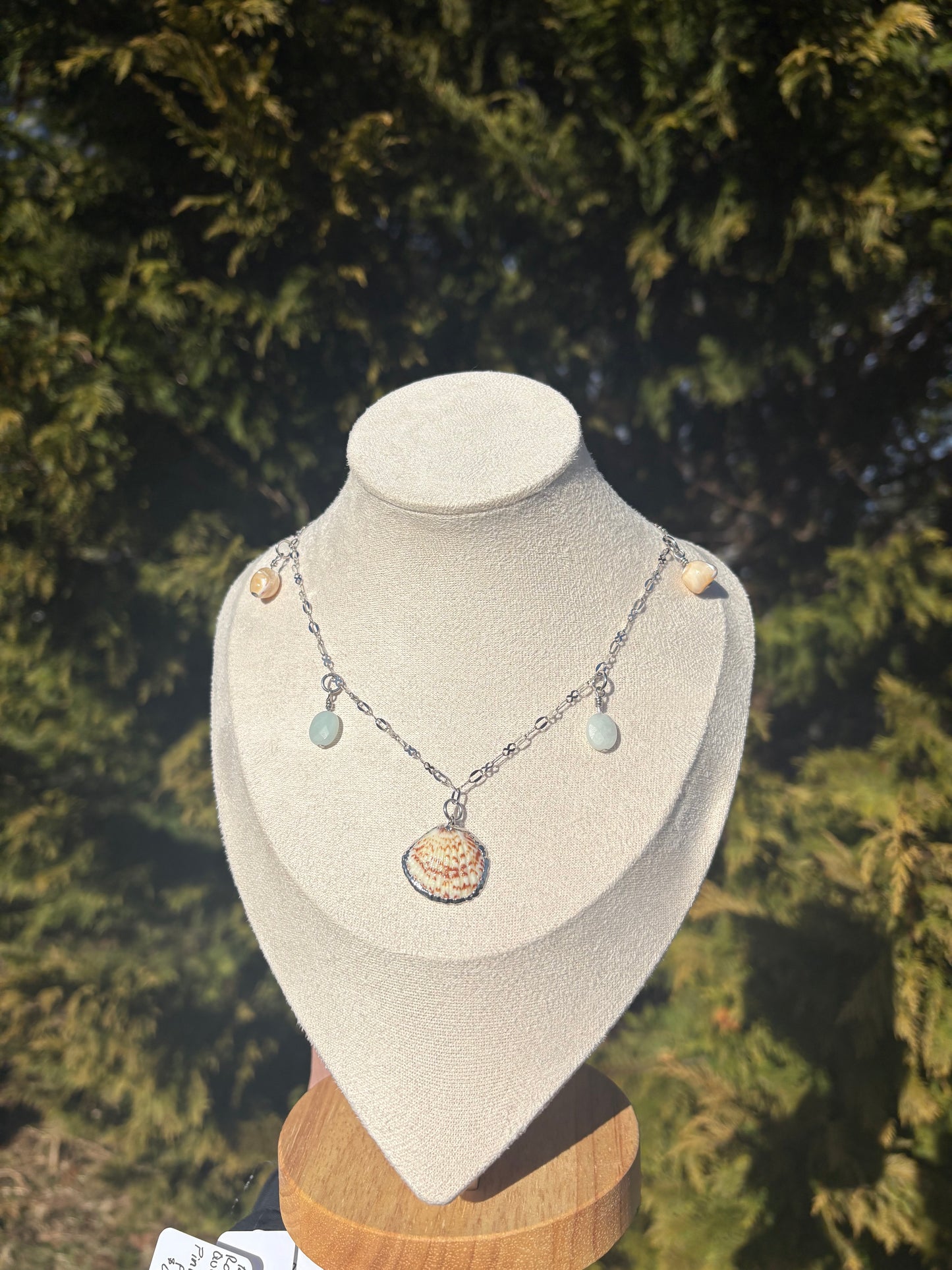 Mother of Pearl, Amazonite, and Arca Shell Necklace