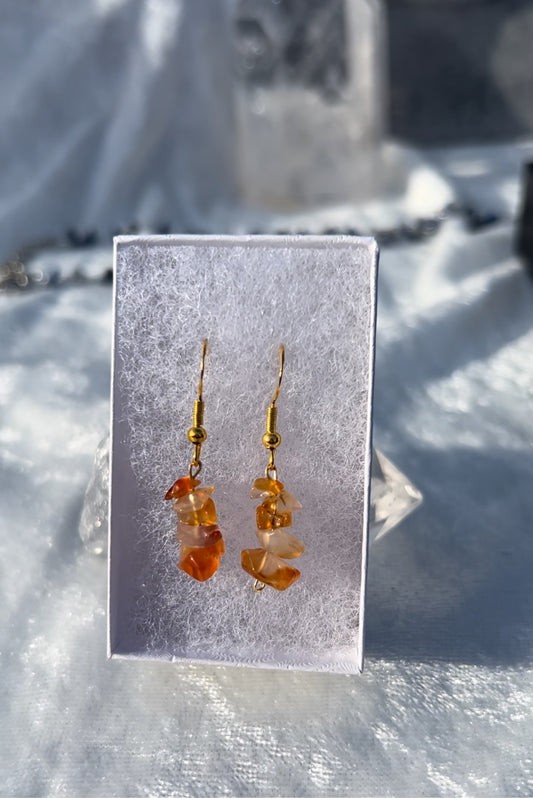 Carnelian Earrings